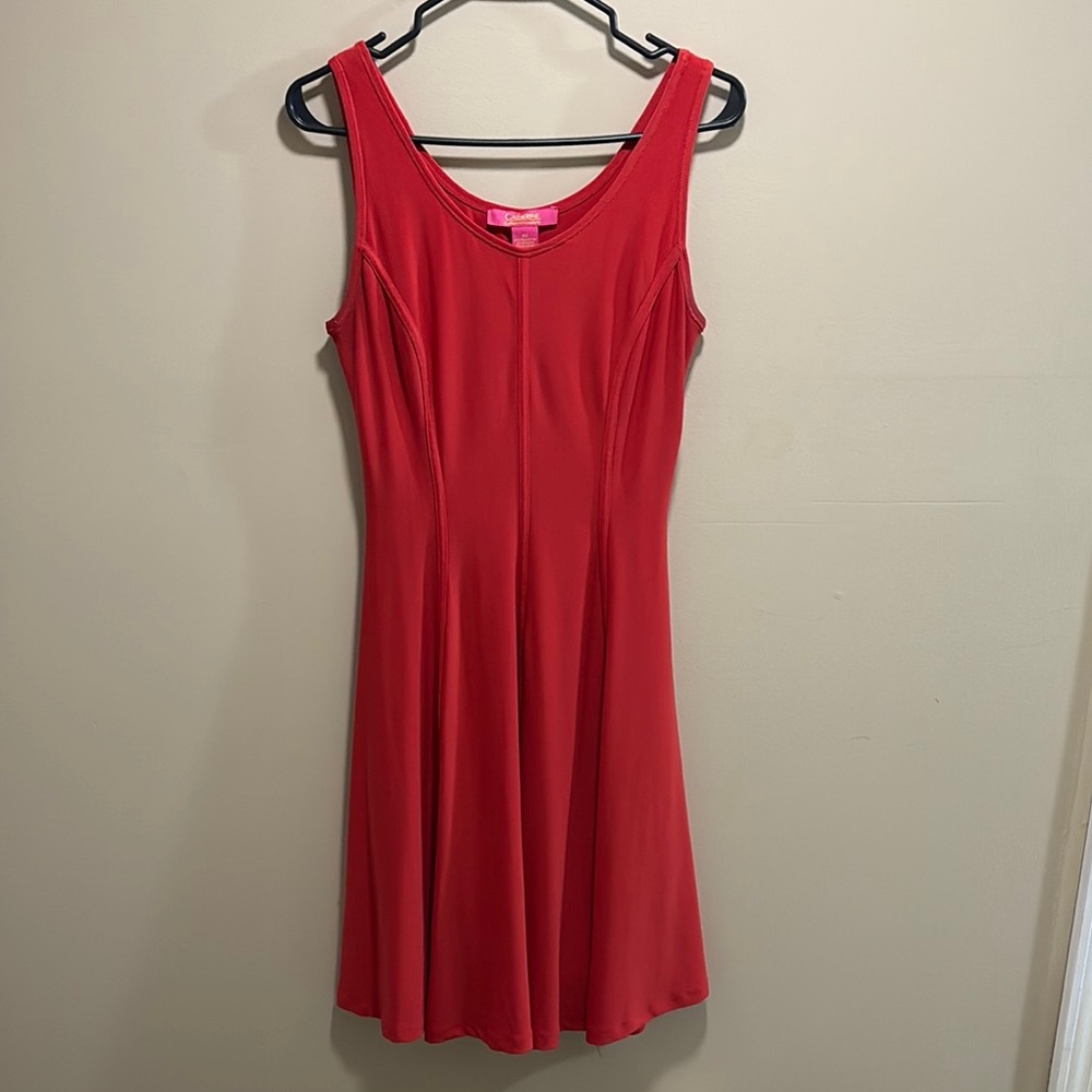 Catherines Red Sleeveless Sundress for Cocktail